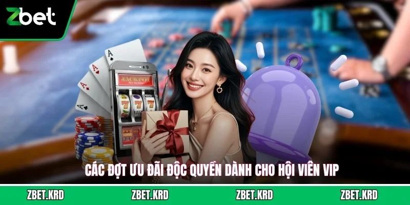 Các đợt ưu đãi độc quyền dành cho hội viên VIP