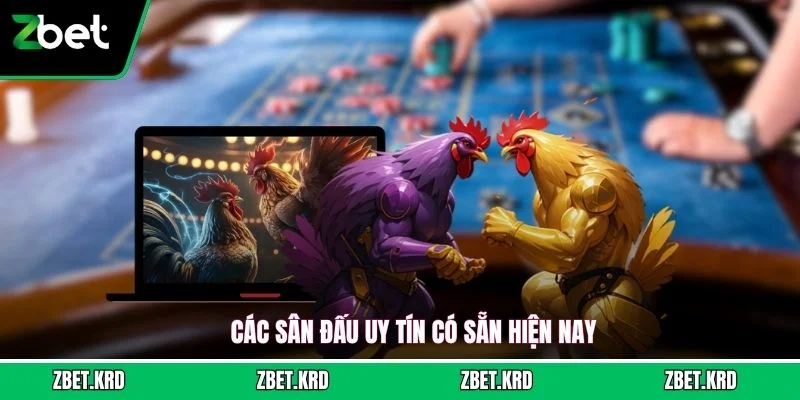 Các sân đấu uy tín có sẵn hiện nay