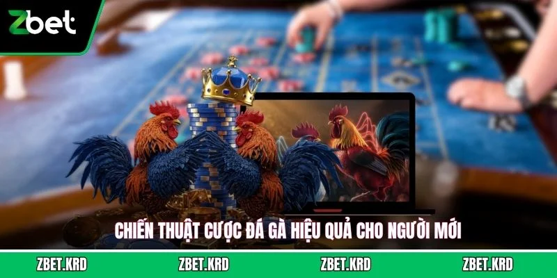 Chiến thuật cược đá gà hiệu quả cho người mới