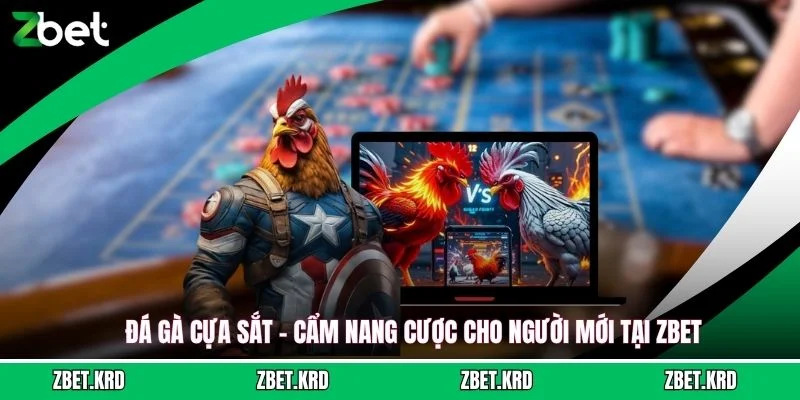 Đá Gà Cựa Sắt - Cẩm Nang Cược Cho Người Mới Tại ZBET