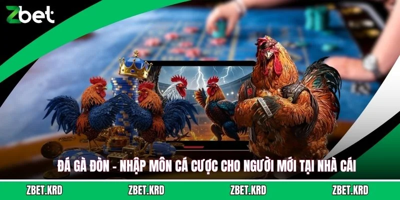 Đá Gà Đòn - Nhập Môn Cá Cược Cho Người Mới Tại Nhà Cái
