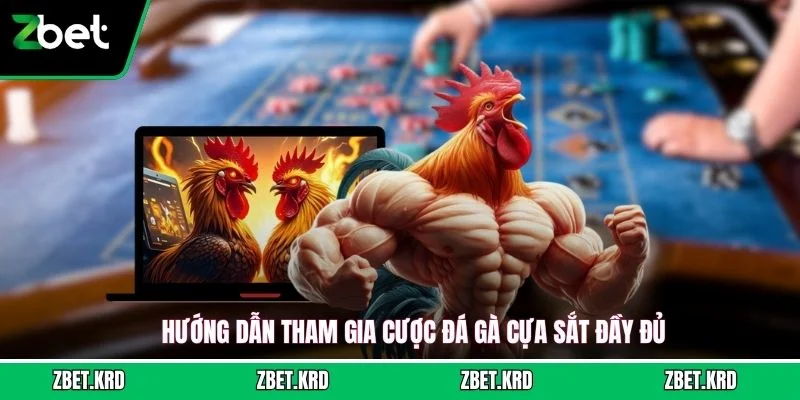 Hướng dẫn tham gia cược đá gà cựa sắt đầy đủ