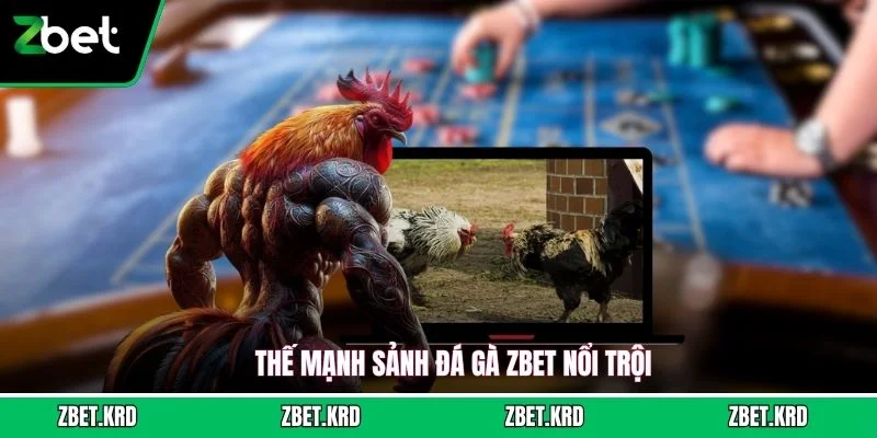 Thế mạnh sảnh đá gà ZBET nổi trội