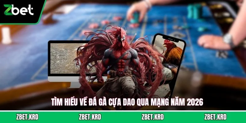 Tìm hiểu về đá gà cựa dao qua mạng năm 2026